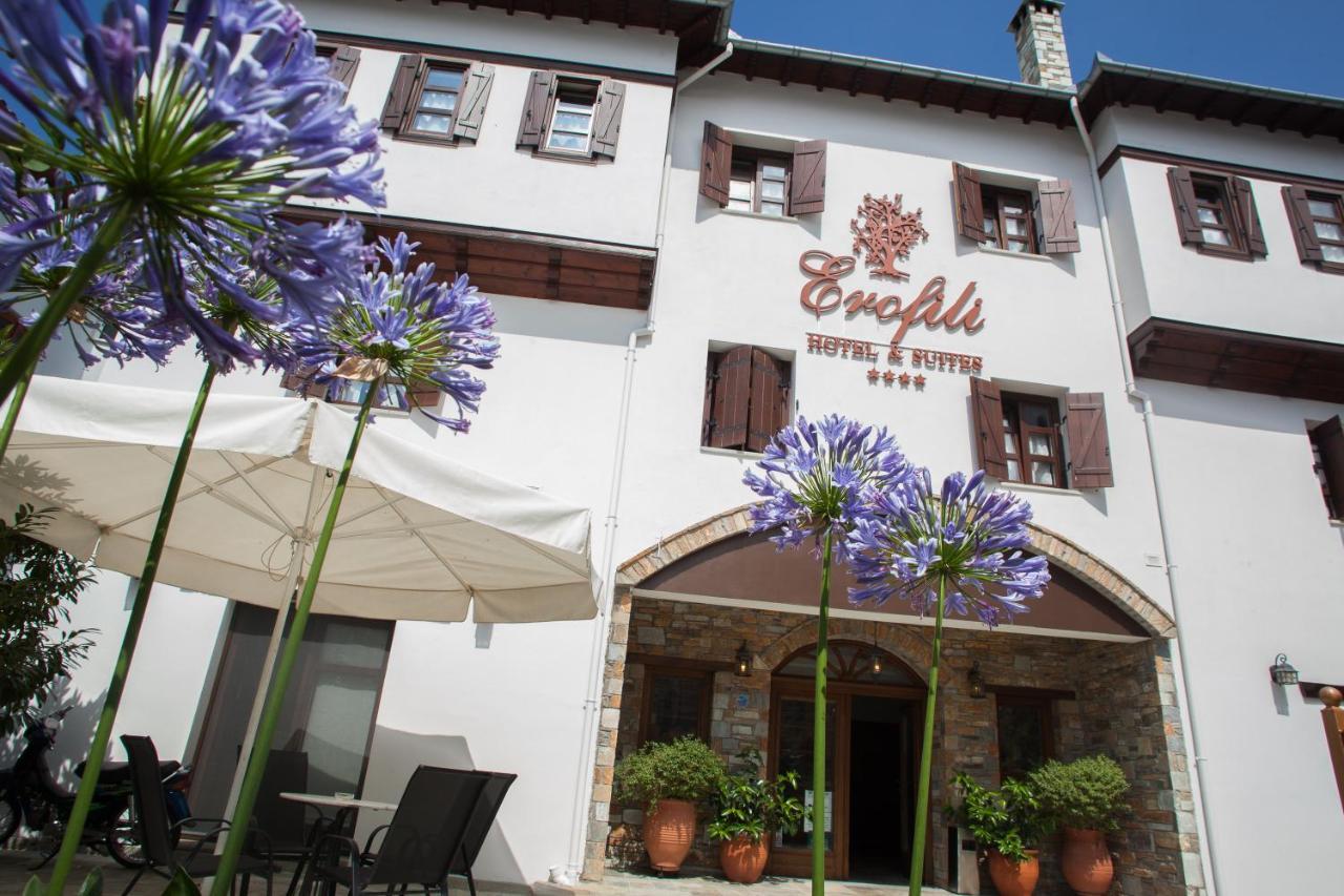 Erofili Hotel & Suites Portaria  Bagian luar foto