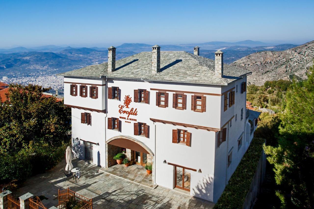 Erofili Hotel & Suites Portaria  Bagian luar foto