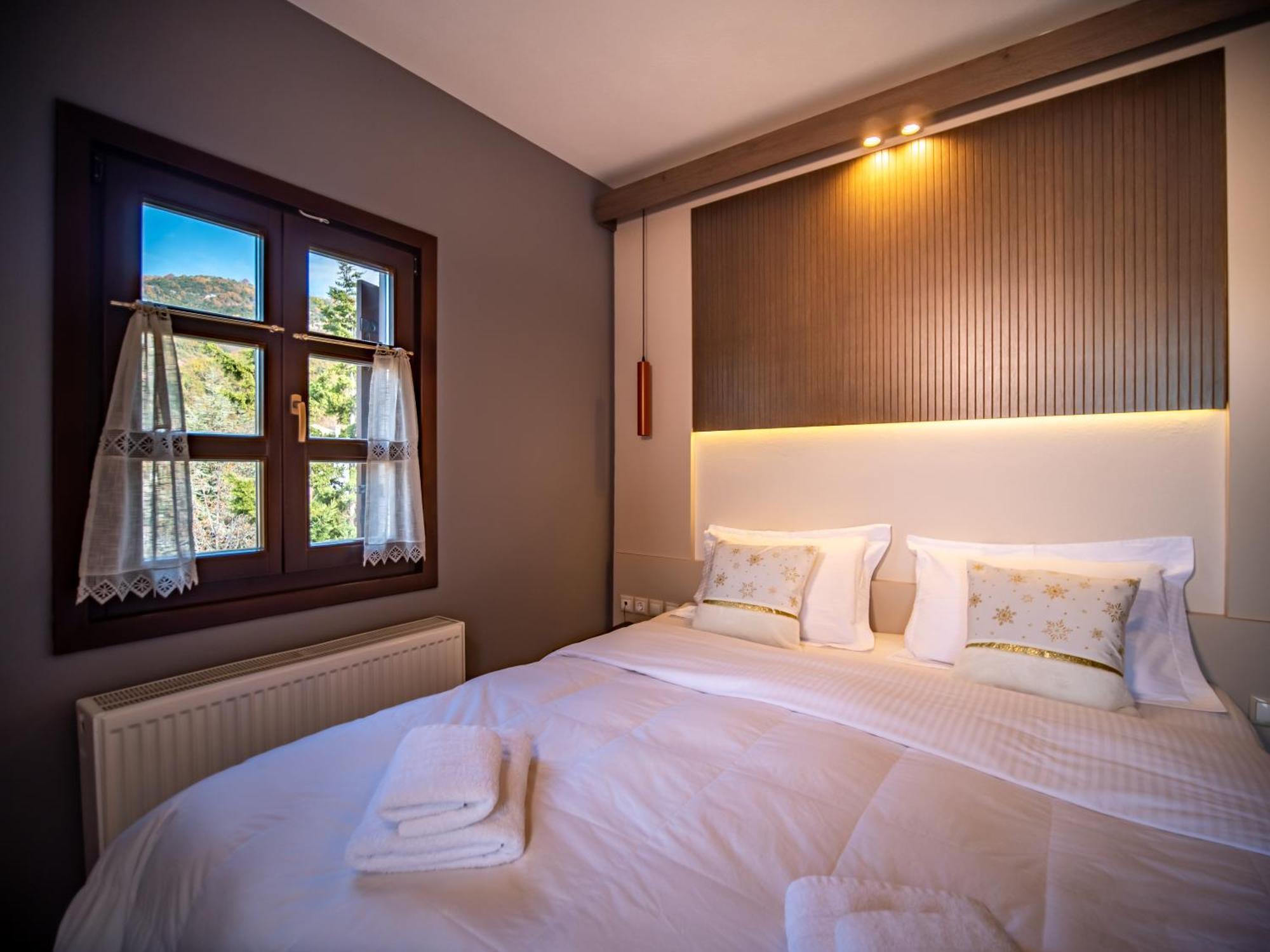 Erofili Hotel & Suites Portaria  Bagian luar foto
