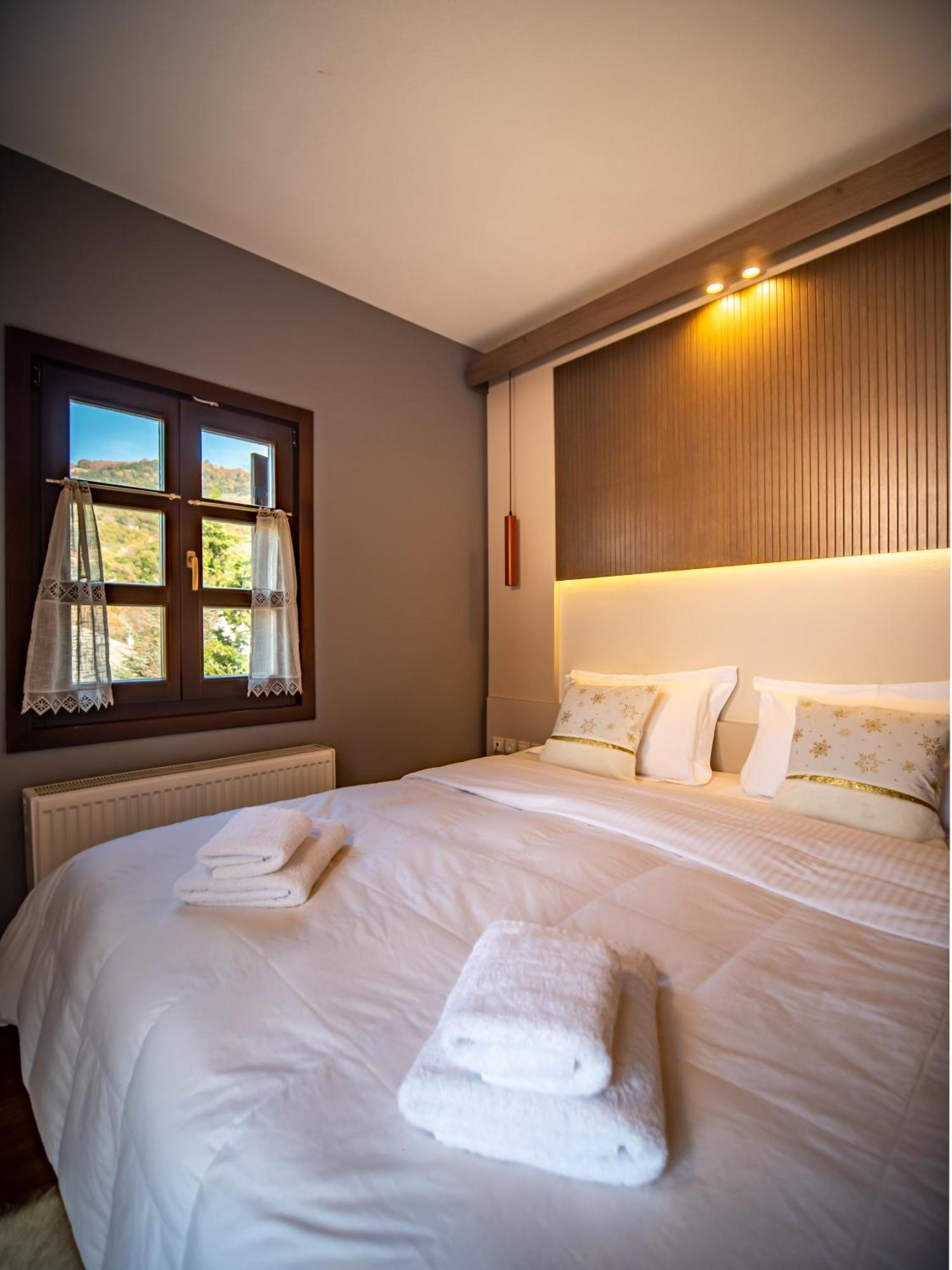Erofili Hotel & Suites Portaria  Bagian luar foto