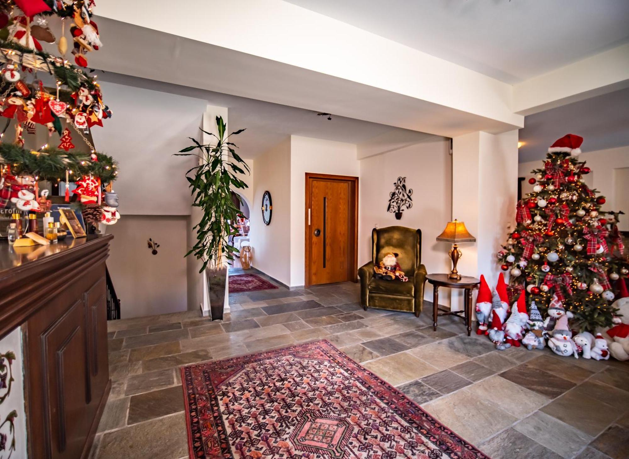 Erofili Hotel & Suites Portaria  Bagian luar foto