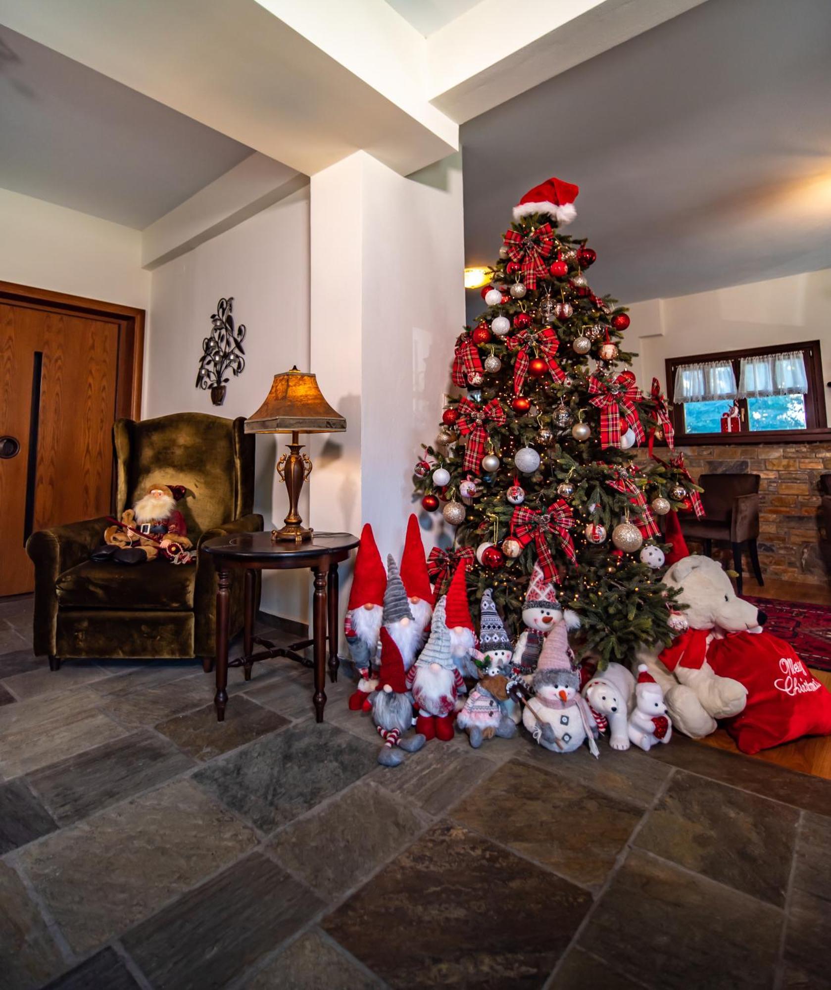 Erofili Hotel & Suites Portaria  Bagian luar foto