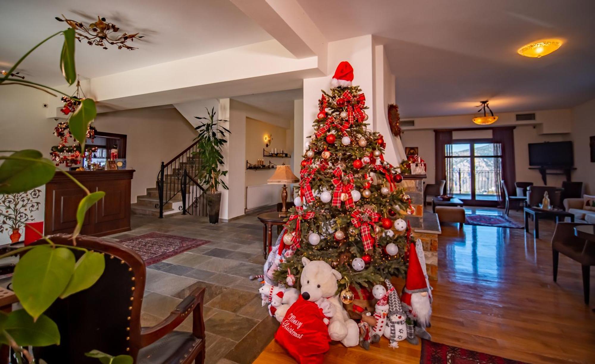Erofili Hotel & Suites Portaria  Bagian luar foto