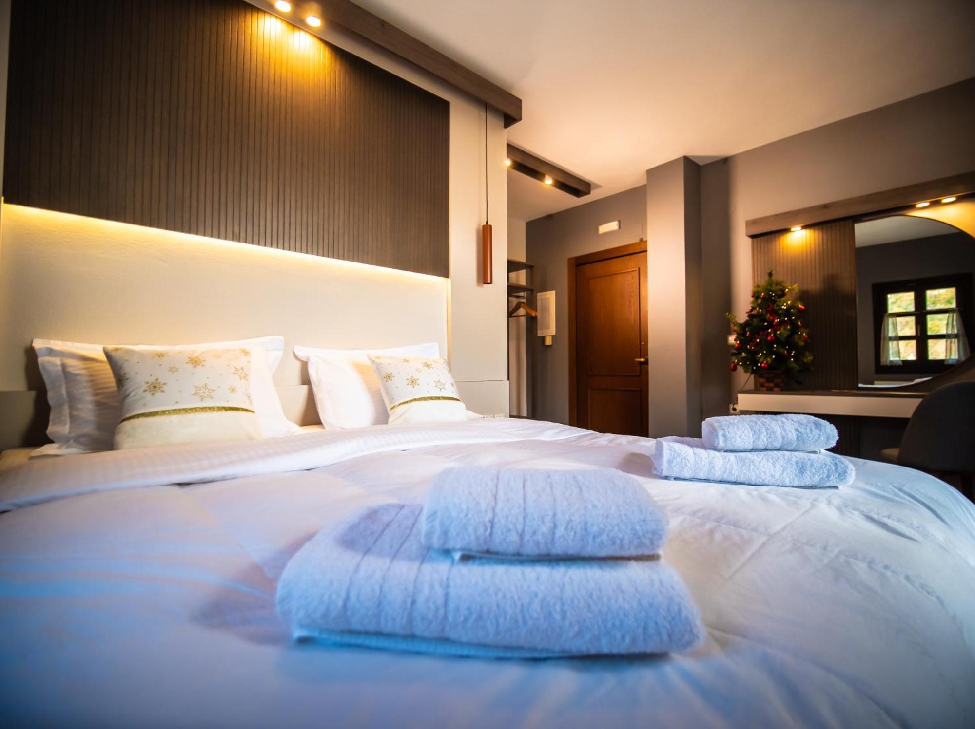 Erofili Hotel & Suites Portaria  Bagian luar foto