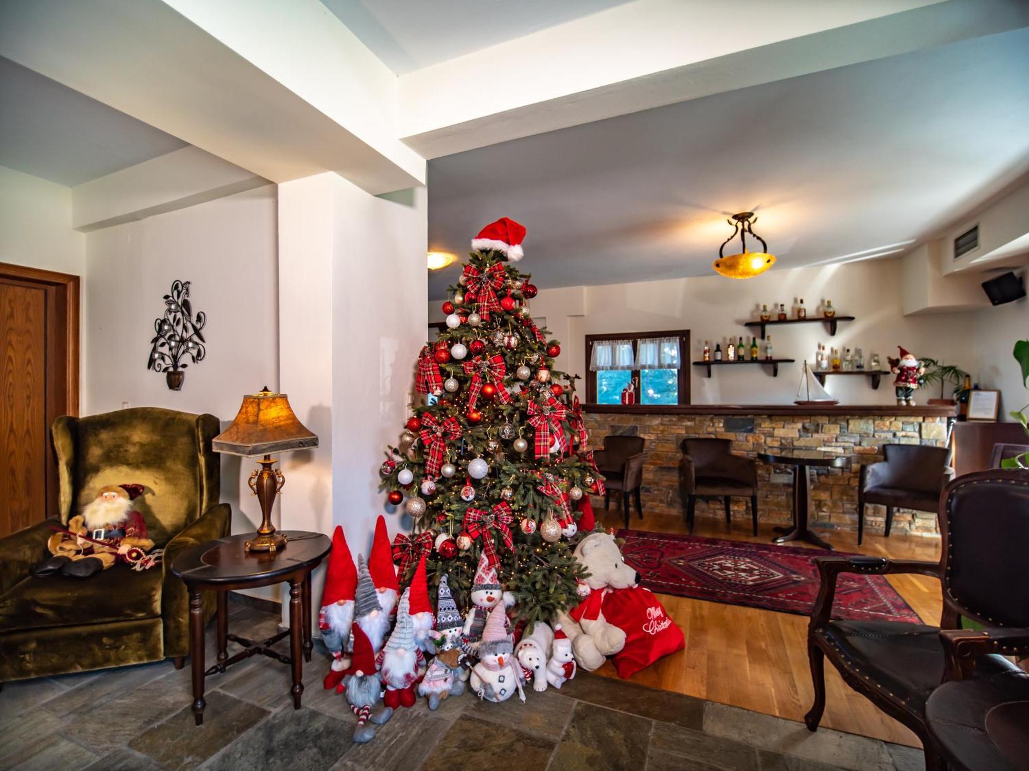 Erofili Hotel & Suites Portaria  Bagian luar foto