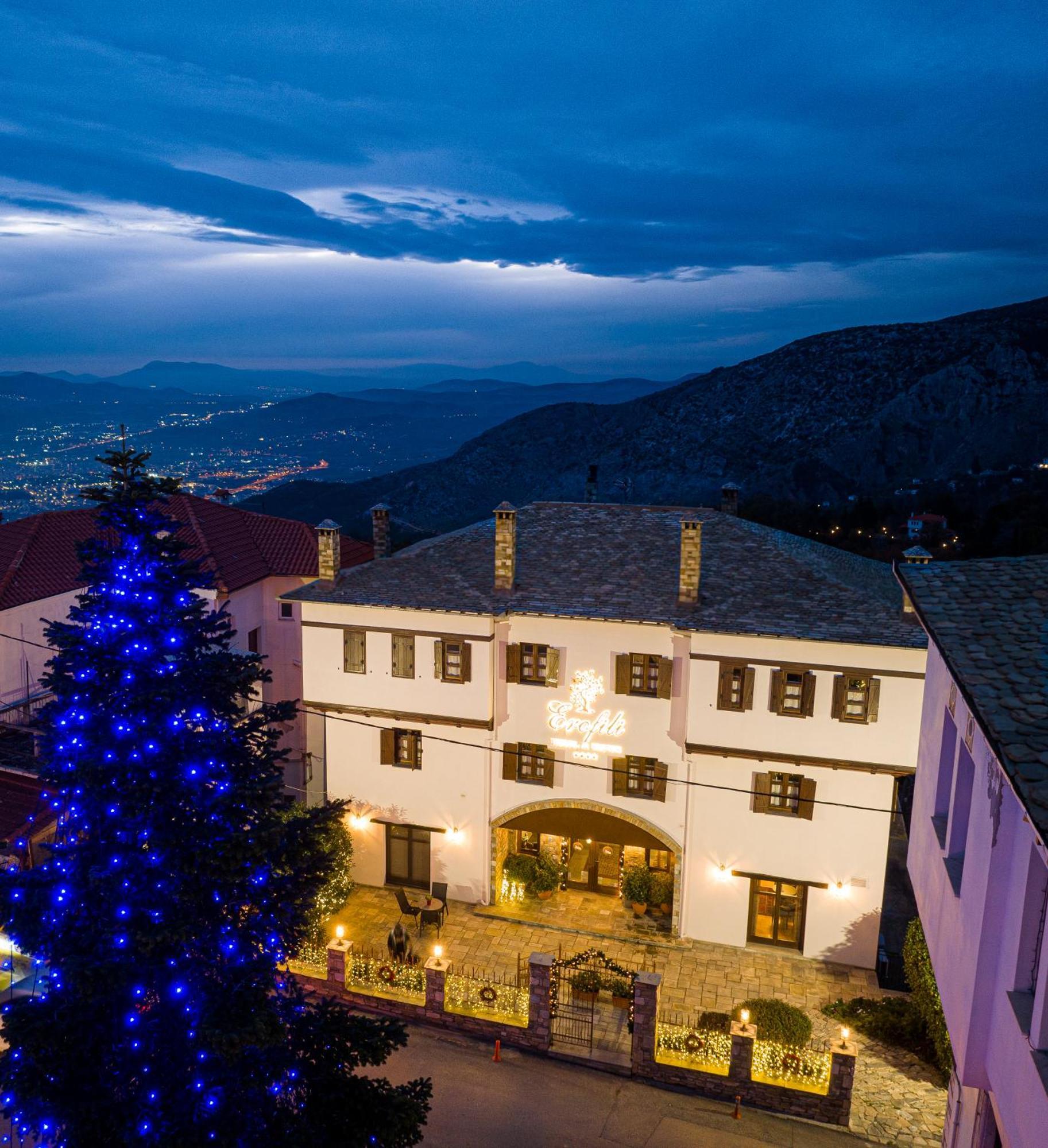 Erofili Hotel & Suites Portaria  Bagian luar foto